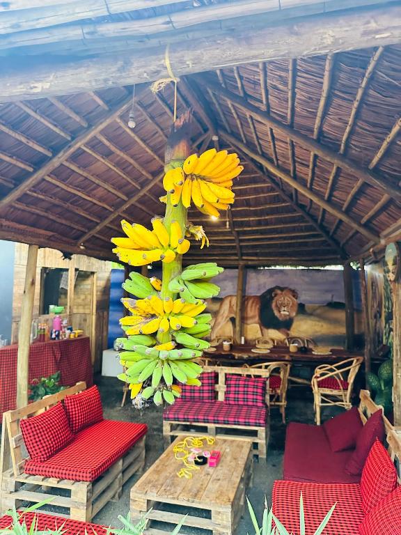 Posezení v ubytování Safari villa