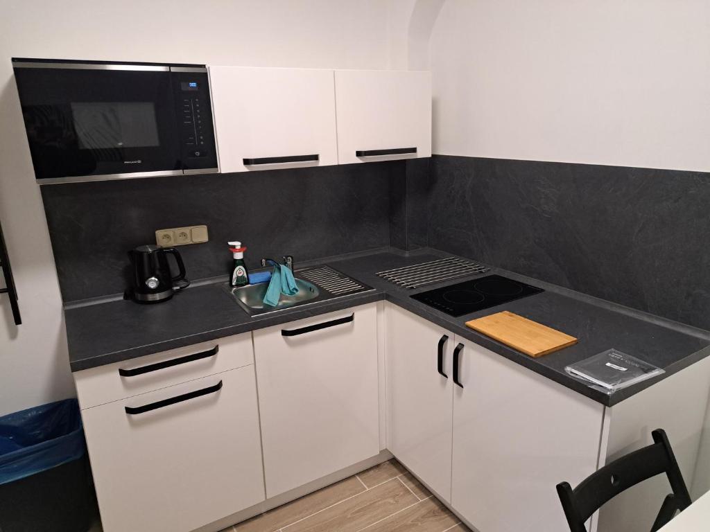 Kuchyň nebo kuchyňský kout v ubytování Penzion Labužník