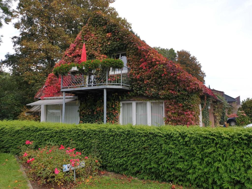 a house covered in ivy with a balcony at Deichgräfin 3 in Horumersiel
