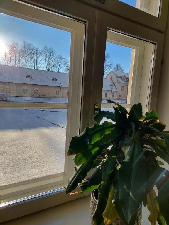 Fotografie z fotogalerie ubytování Rogosi mõisa apartment v destinaci Ruusmäe