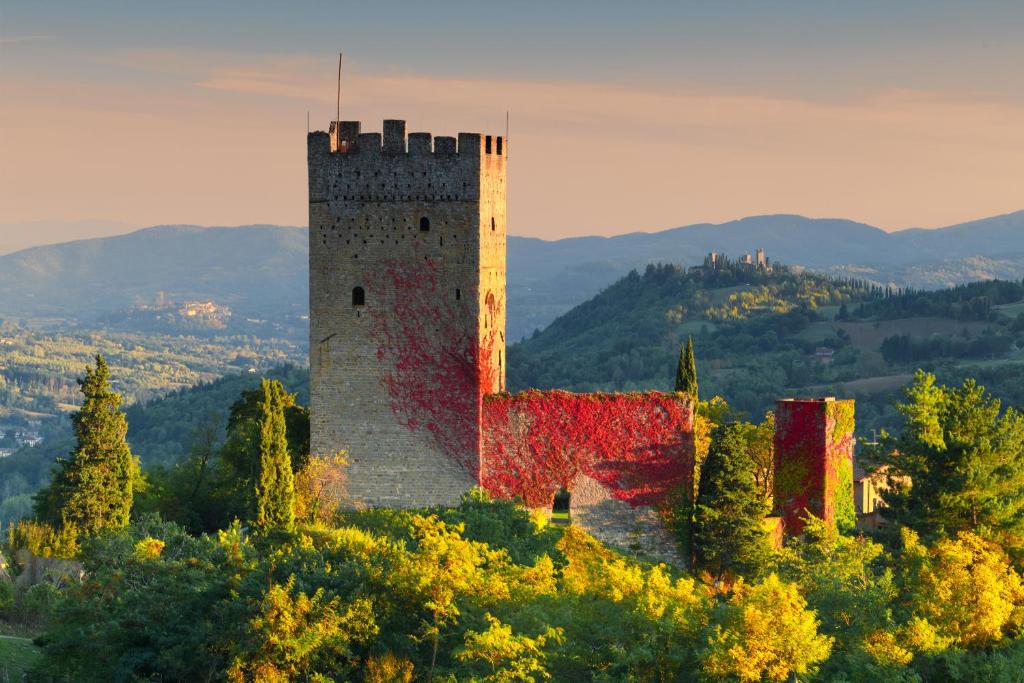 un château au sommet d'une colline plantée d'arbres dans l'établissement Castello e Borgo di Porciano, à Pratovecchio