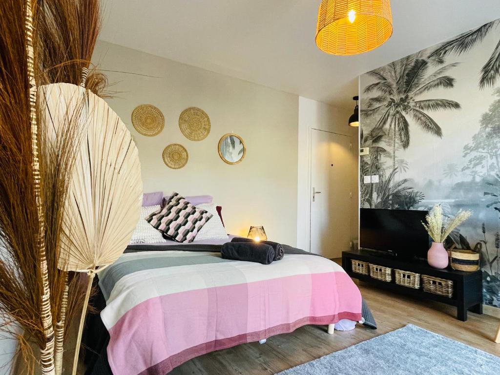 a bedroom with a pink and white bed and a tv at Au calme de la Gaité in Saint-Jacques-de-la-Lande