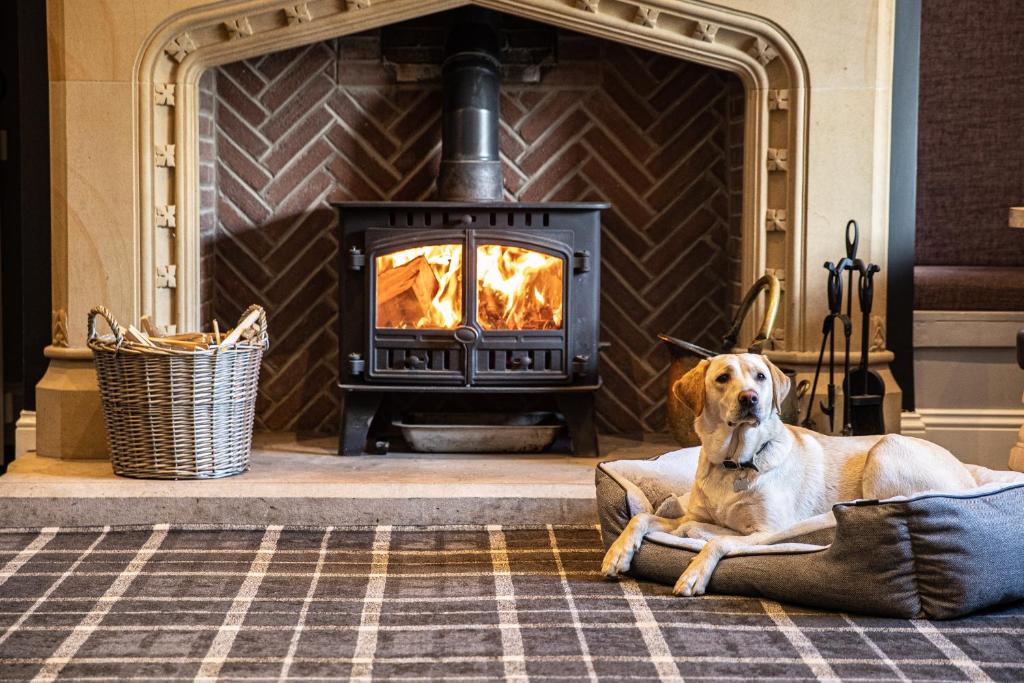 a dog laying on a pillow in front of a fireplace at The Greenhead Hotel in Greenhead