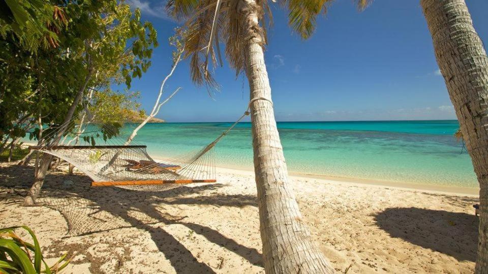 a hammock on the beach between two palm trees at S@fe Landing Lodge in Nacula Island