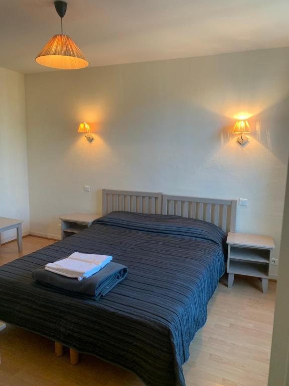 a bedroom with a bed with two tables and two lights at Résidence Le Rochebonne in Saint Malo