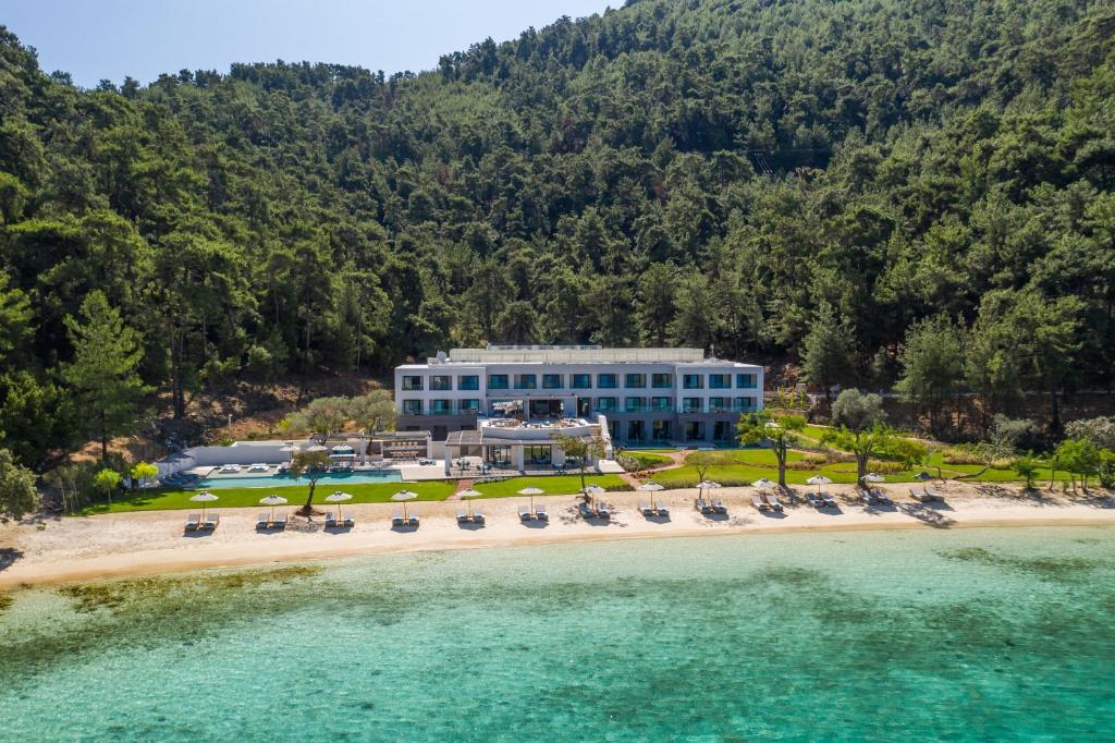 Vathi Cove Luxury Resort & Spa في خْريسيا أموذيا: اطلالة جوية على منتجع على شاطئ