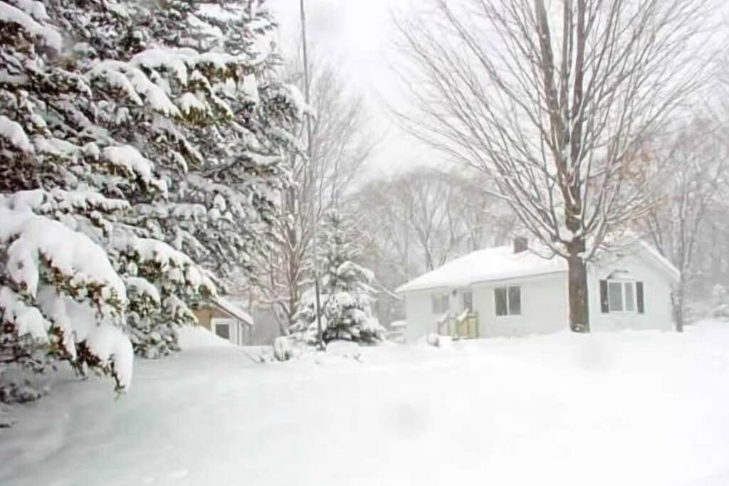 a snow covered yard with a house and trees at Pet Friendly Cottage in Thompsonville
