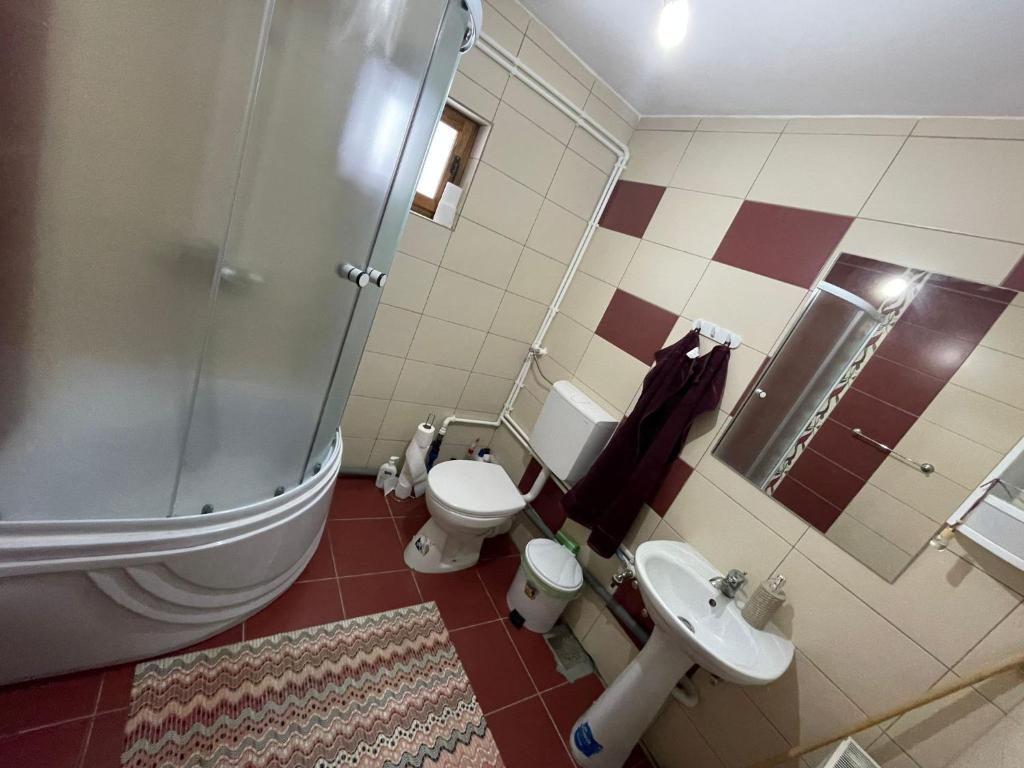 a bathroom with a shower and a toilet and a sink at Cabana SVA in Bilbor