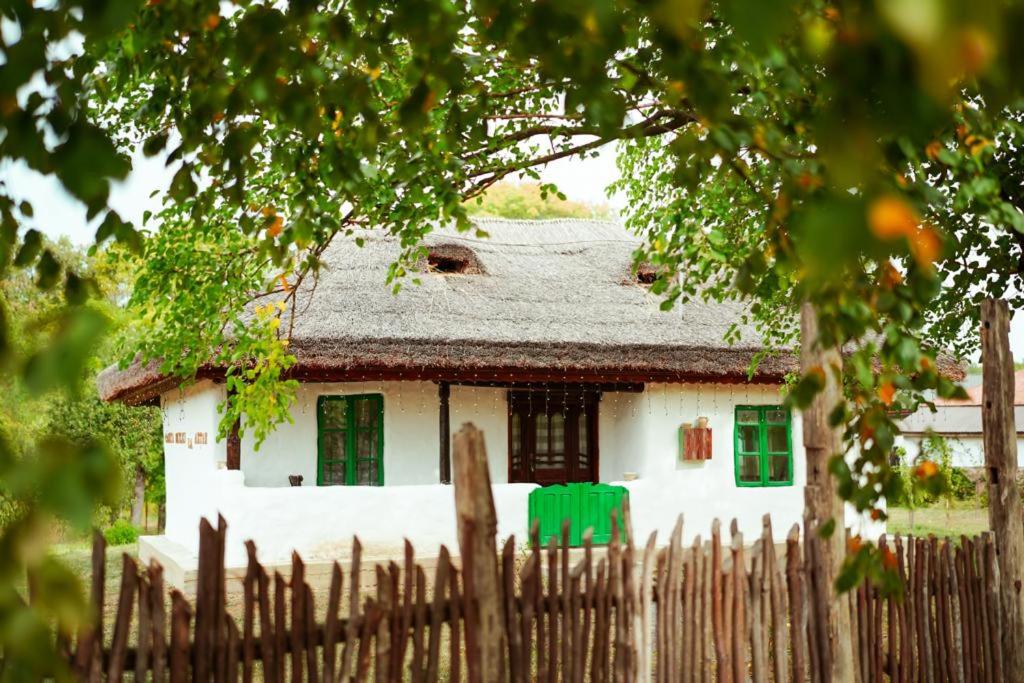 una casa blanca con ventanas verdes detrás de una valla en Casuta Muzeu La Artar, en Călugăreni