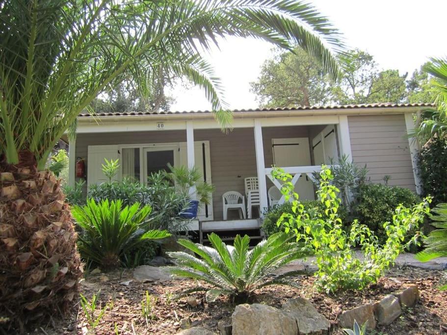 une petite maison avec un palmier en face dans l'établissement GASMED40 - Golfe de St-Tropez - Chalet californien pour 6 personnes situé dans un parc arboré à Gassin, à Gassin