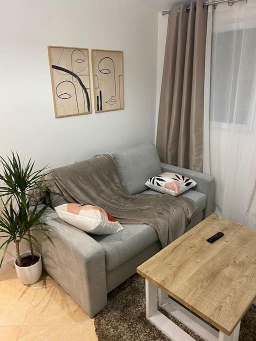 un salon avec un canapé et une table basse dans l'établissement Appartement charmant proche Paris, à Ivry-sur-Seine