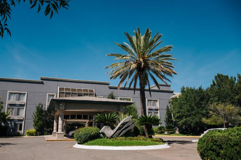 a palm tree in front of a building at Hotel Victoria Express in Durango