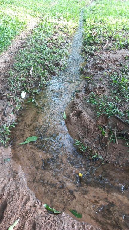 un charco de agua en un campo con hierba en Cabaña San José PY, 