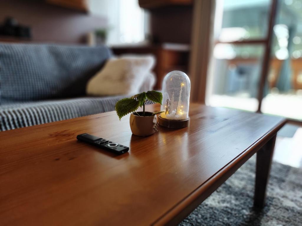 a table with a remote control and a plant on it at Stylish wooden apartment with terrace in Pirin Golf Hotel&Spa Complex in Razlog