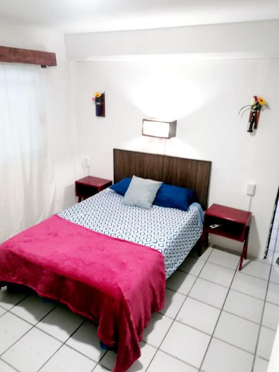 Postel nebo postele na pokoji v ubytování Confortable Suite con terrza