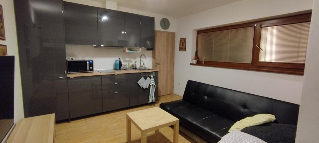 ein Wohnzimmer mit einem schwarzen Sofa und einer Küche in der Unterkunft Apartmán U nás 