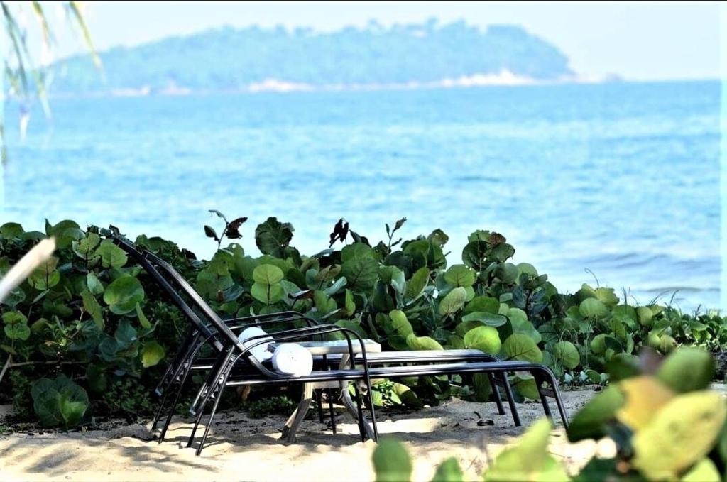 un banco sentado en la playa cerca del océano en 5 bedroom Exclusive Beach Villa - WOW! villa, en Punta Santiago