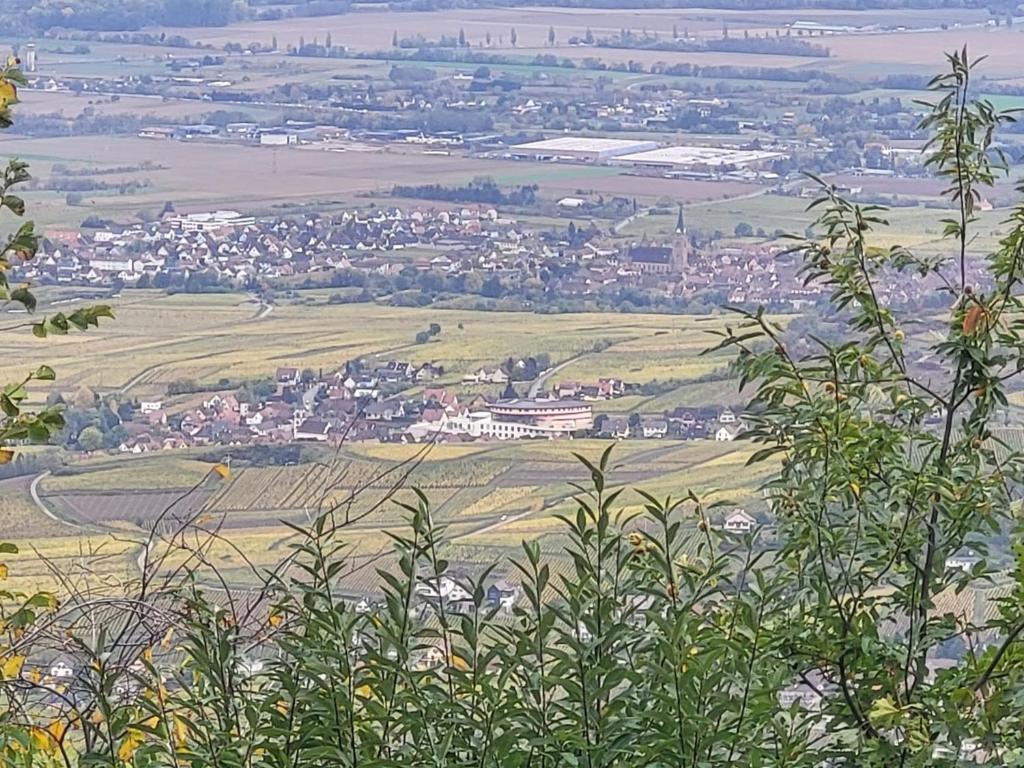 Sur la Route du Vin - Housity
