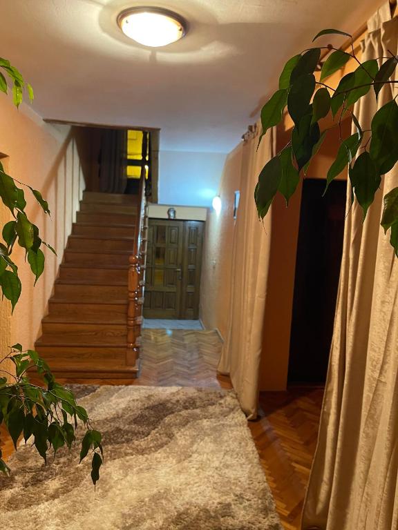 LAVRNIĆ - Single Room