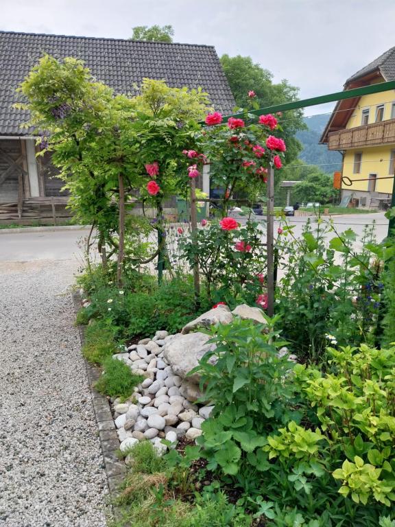 Aed väljaspool majutusasutust SOBE U SIRRC