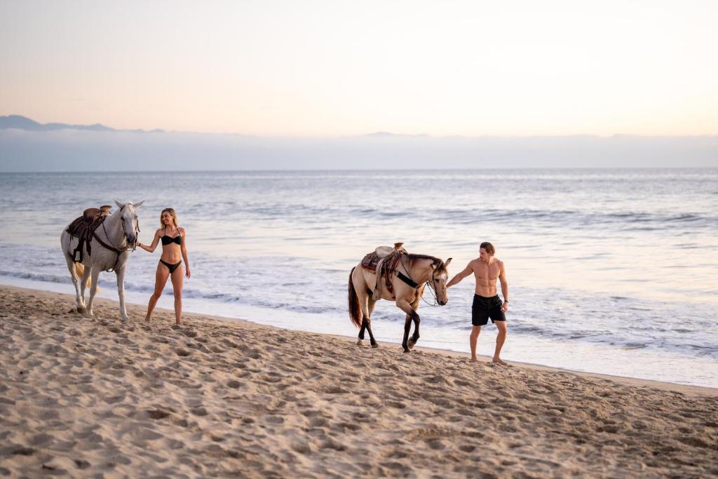 Riu Palace Pacifico - All Inclusive - Adults Only photo