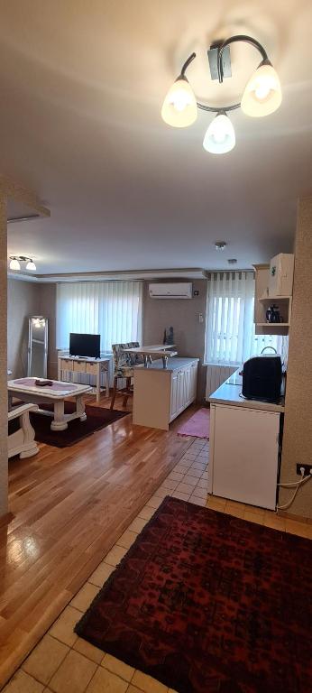 ein großes Wohnzimmer mit einer Küche und einem Tisch in der Unterkunft Center apartment in Belišće