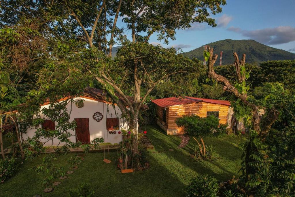 eine Luftansicht eines Hauses mit einem Baum in der Unterkunft Cabañas Gonzalez in Salcoatitán