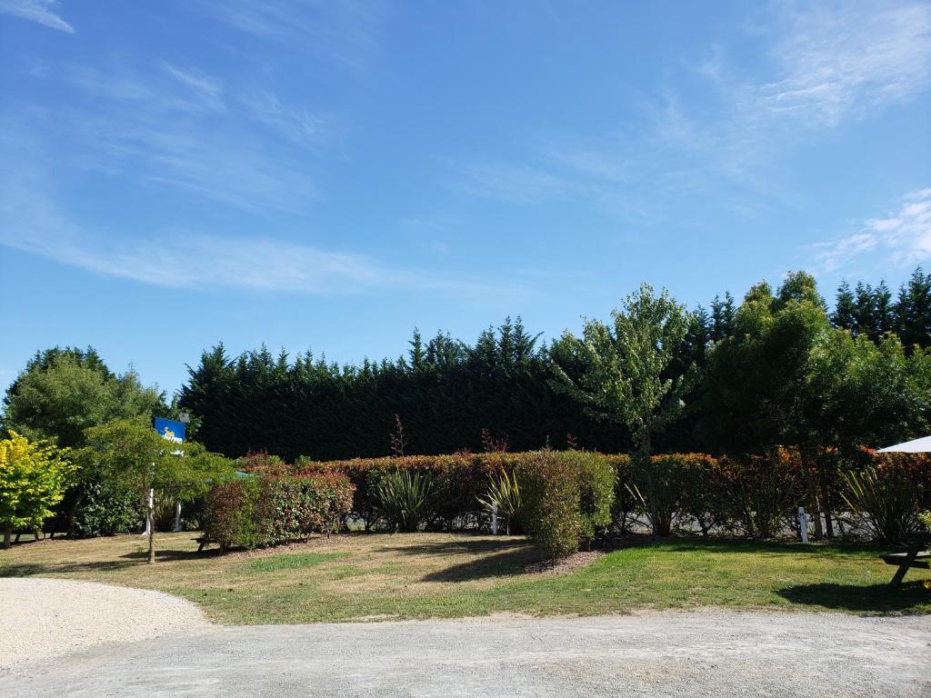Zahrada ubytování Tasman Motor Camp