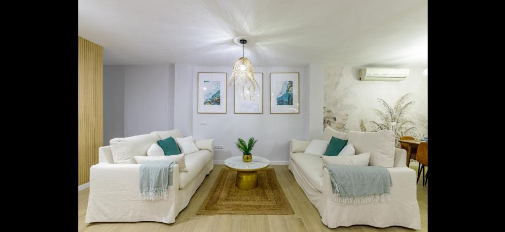 Picasso 2 Luxury - 4