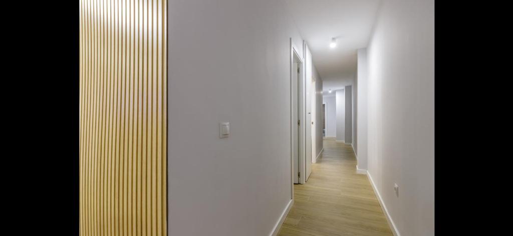 Picasso 2 Luxury - 17