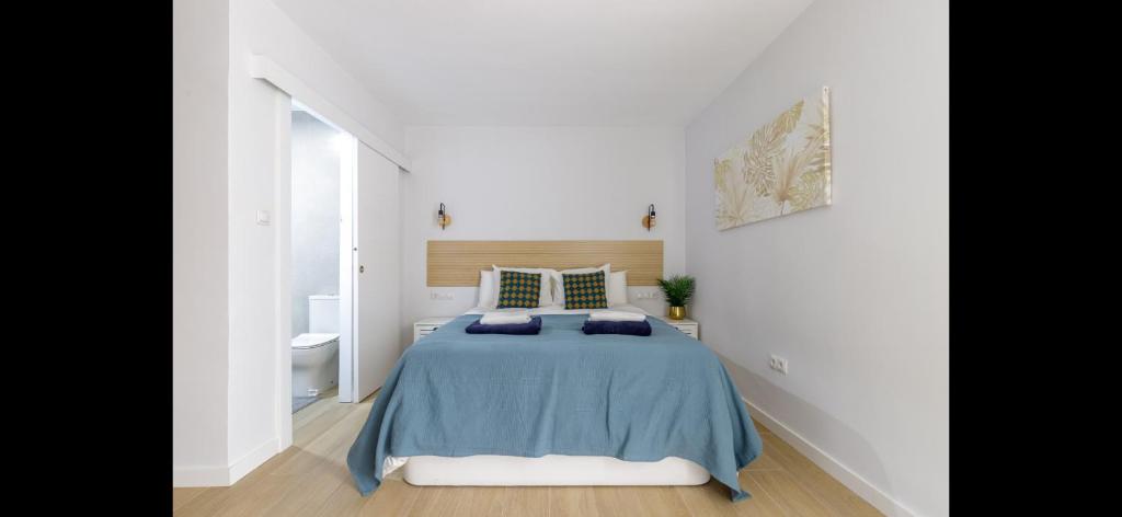 Picasso 2 Luxury - 18