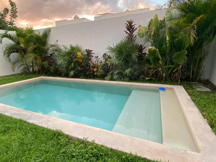 - une piscine dans l'herbe à côté d'une maison dans l'établissement Residencia nueva en Merida, 
