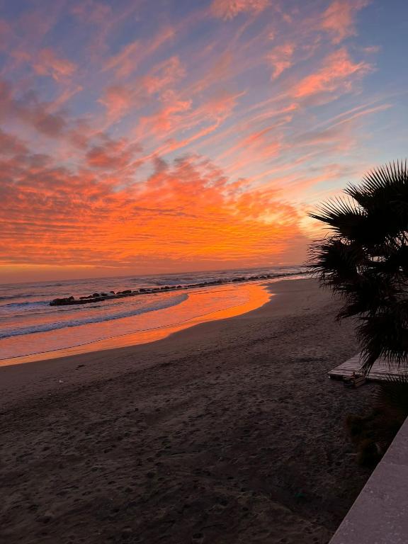 un tramonto su una spiaggia con una palma di La Piazzetta Anzio ad Anzio