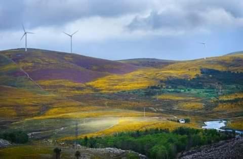 due mulini a vento in cima a una collina con una strada di Lago da Garça Guesthouse a São Pedro do Sul