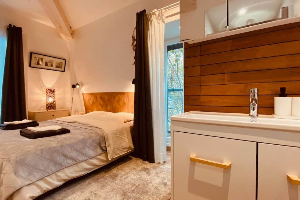 um quarto com uma cama e um lavatório em Superbe appartement proche de Paris em Saint-Maurice