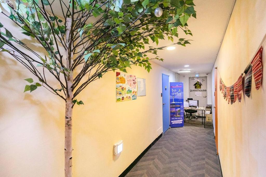 Fotografie z fotogalerie ubytování 24Guesthouse Seomyeon v destinaci Pusan