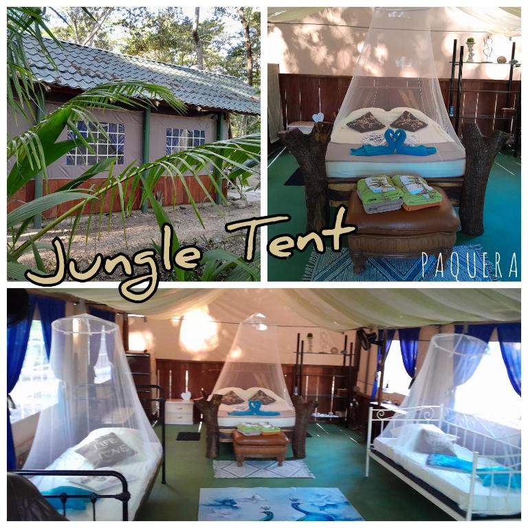 Fotografie z fotogalerie ubytování Fully Furnished FAMILY JUNGLE TENT, Latino Glamping Paquera v destinaci Paquera