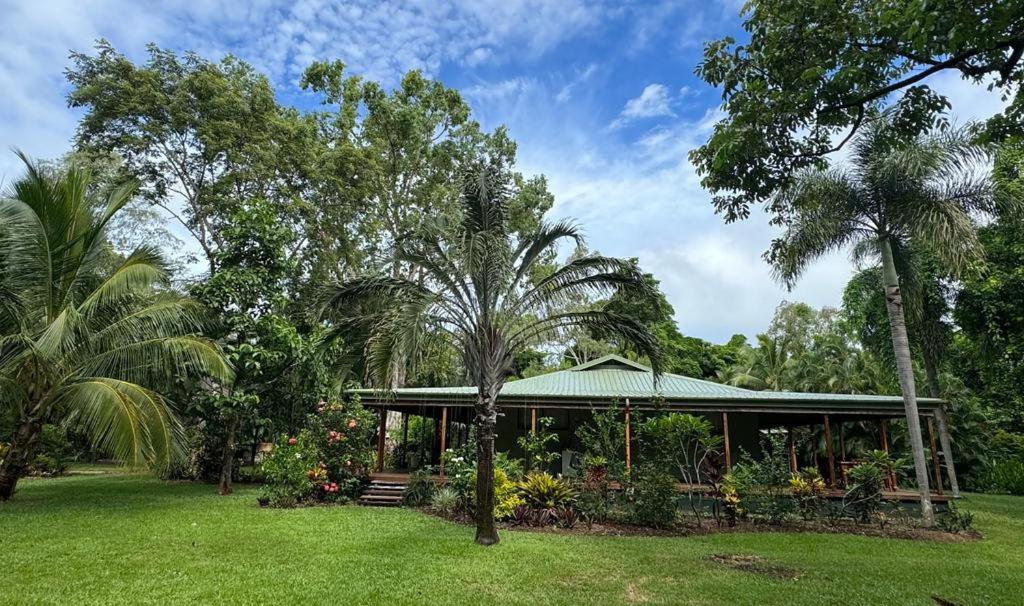 einen Pavillon in einem Park mit Palmen und Gras in der Unterkunft Paperbark Retreat in Cooktown