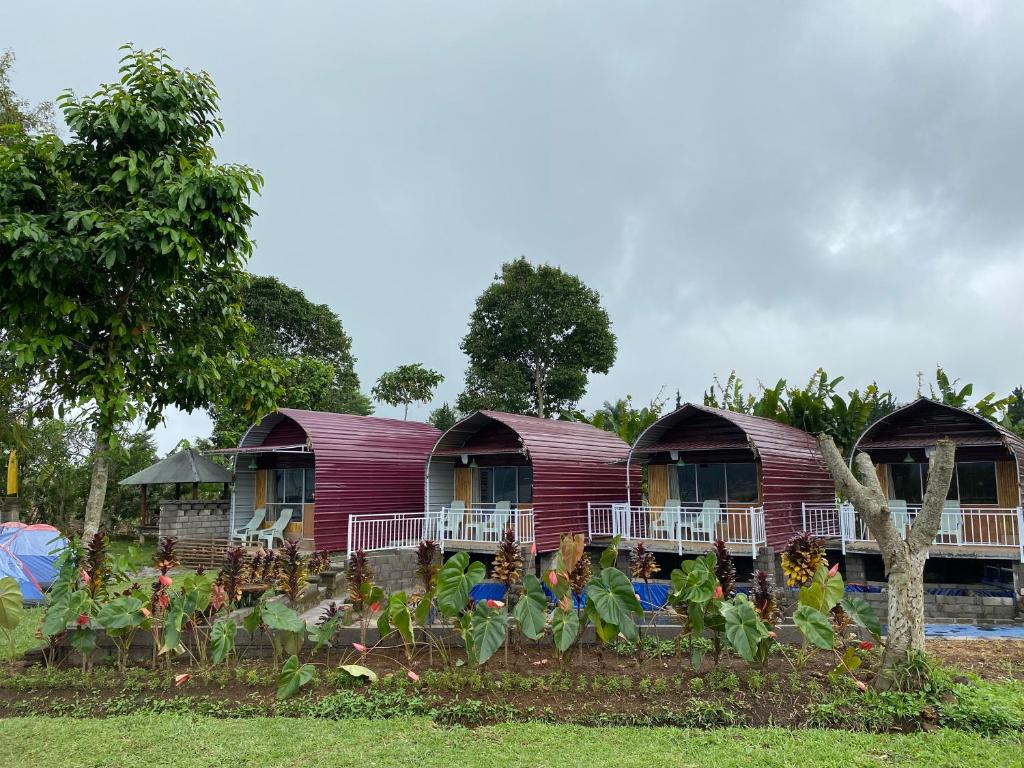 eine Reihe von Zelten mit Pflanzen vor ihnen in der Unterkunft Bali Strawberry Glamping and Camp Bedugul in Tabanan