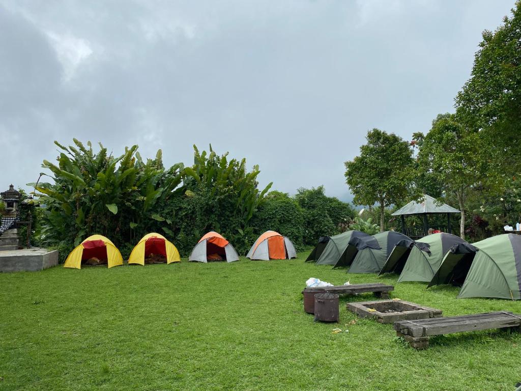 Zahrada ubytování Bali Strawberry Glamping and Camp Bedugul