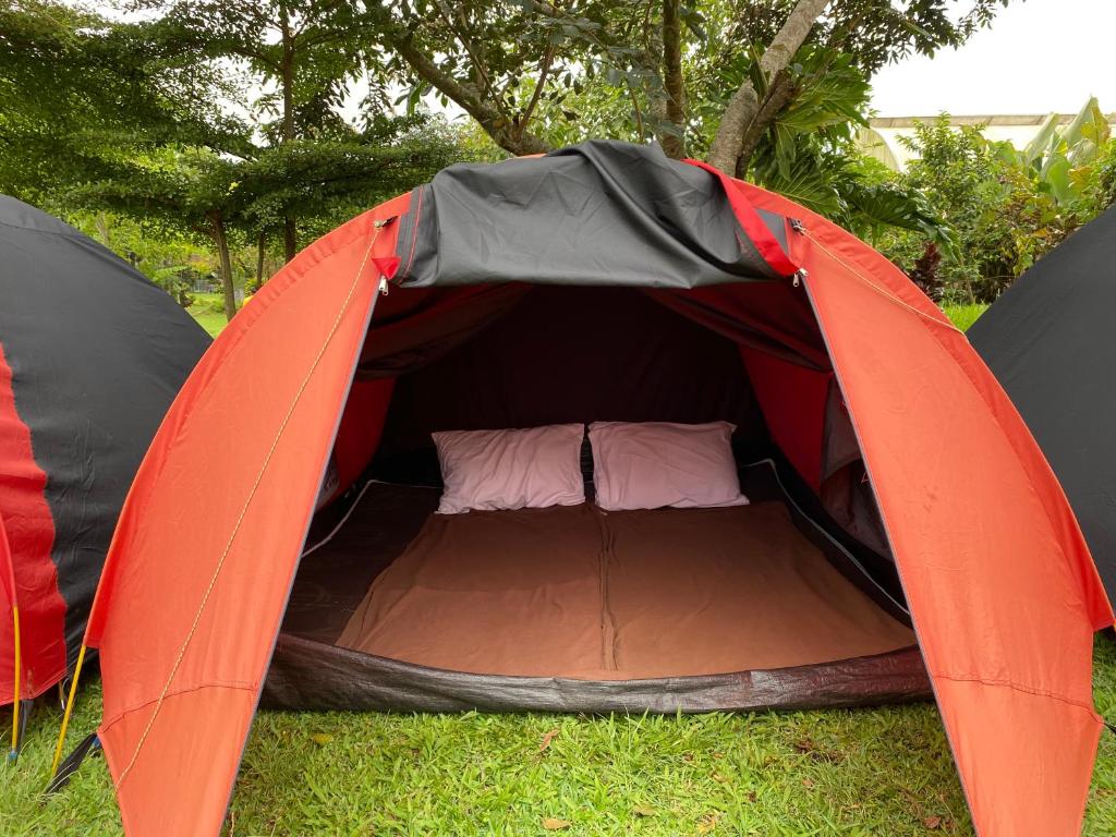 Fotografie z fotogalerie ubytování Bali Strawberry Glamping and Camp Bedugul v destinaci Tabanan