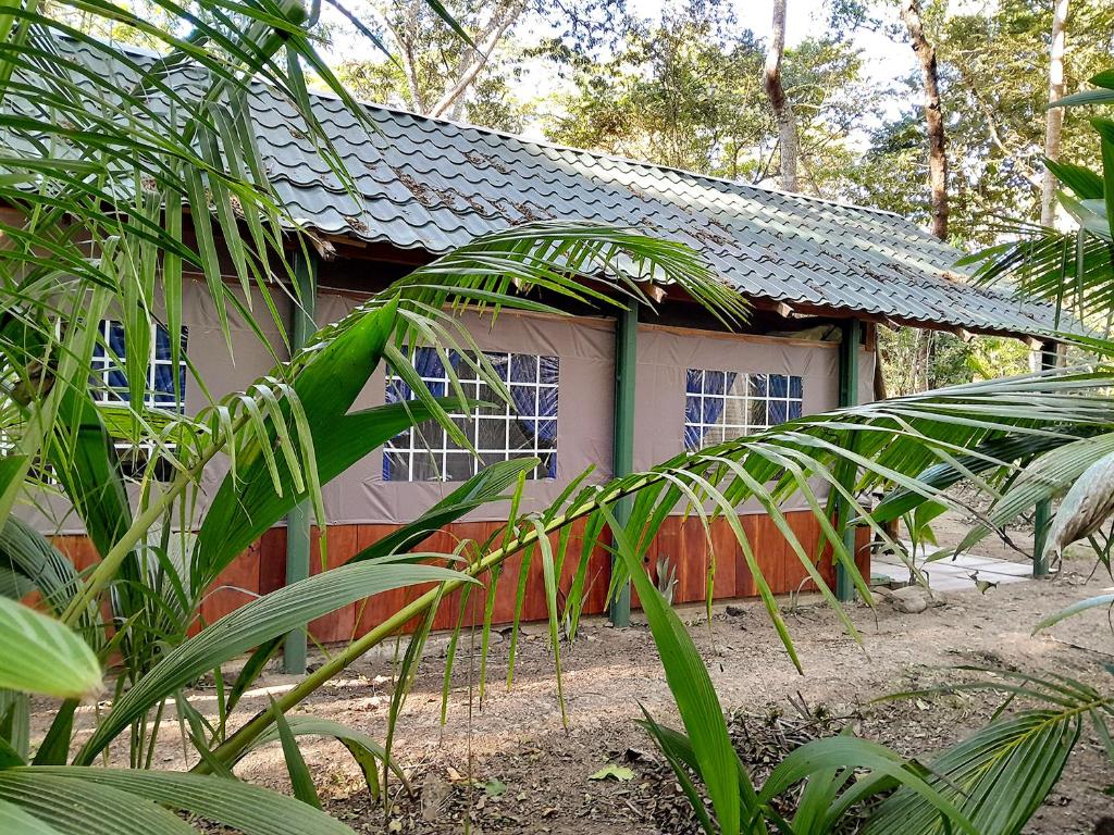 Zahrada ubytování Fully Furnished FAMILY JUNGLE TENT, Latino Glamping Paquera
