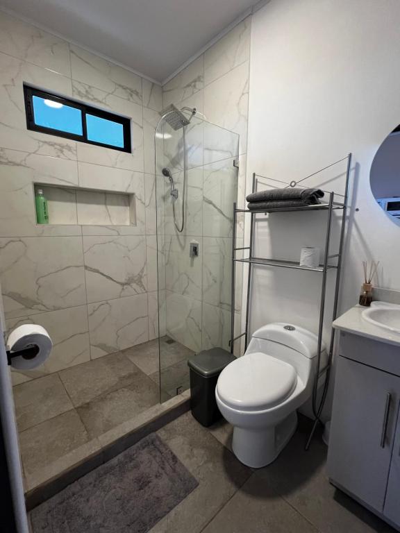 uma casa de banho com um chuveiro, um WC e um lavatório. em Volcánico em La Fortuna