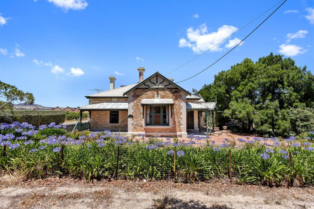 Barossa Vineyard Guesthouse في تانوندا: منزل حجري أمامه زهور أرجوانية