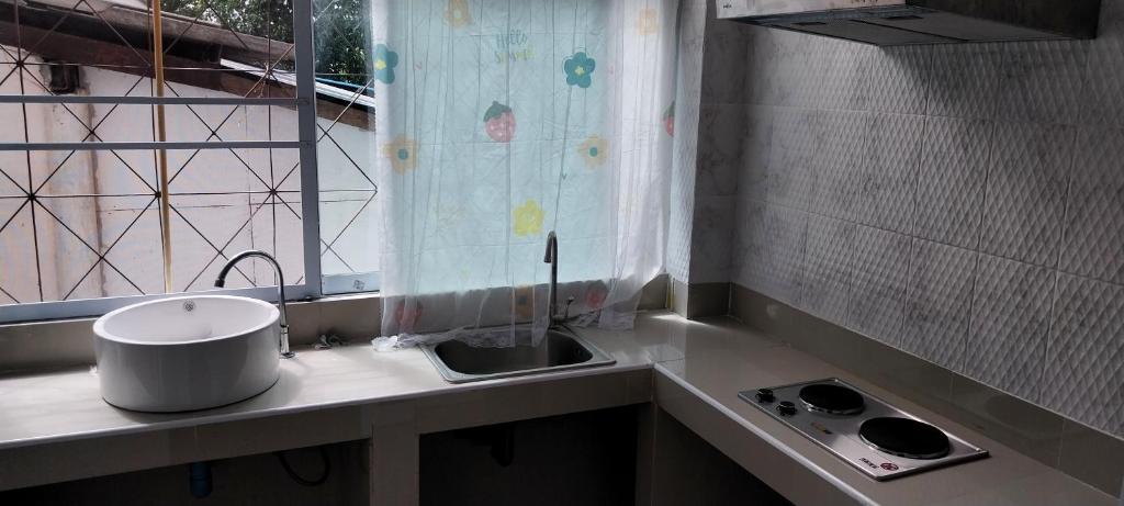 Kuchyň nebo kuchyňský kout v ubytování AVA Boutique Guesthouse