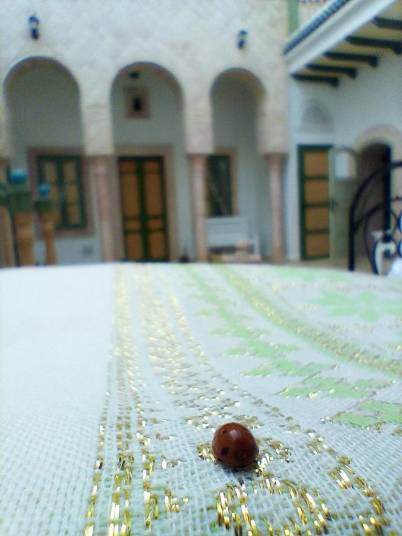 Fotografie z fotogalerie ubytování Dar Baaziz 3 v destinaci Sousse
