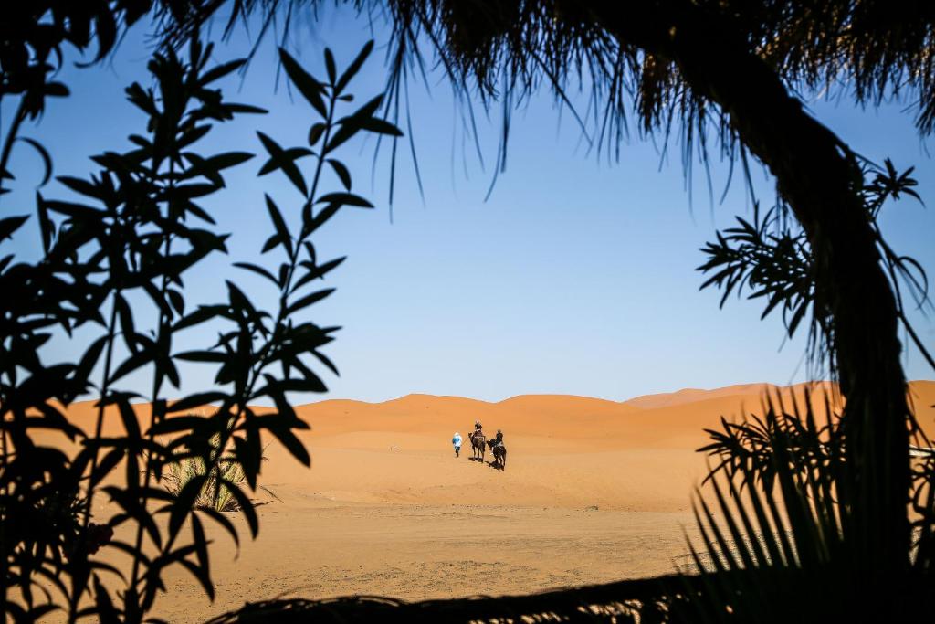 Dune House - Housity