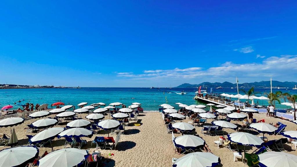 Fotografia z galérie ubytovania Brand New 2 Bedroom Apartment Forville - Wi Fi v Cannes