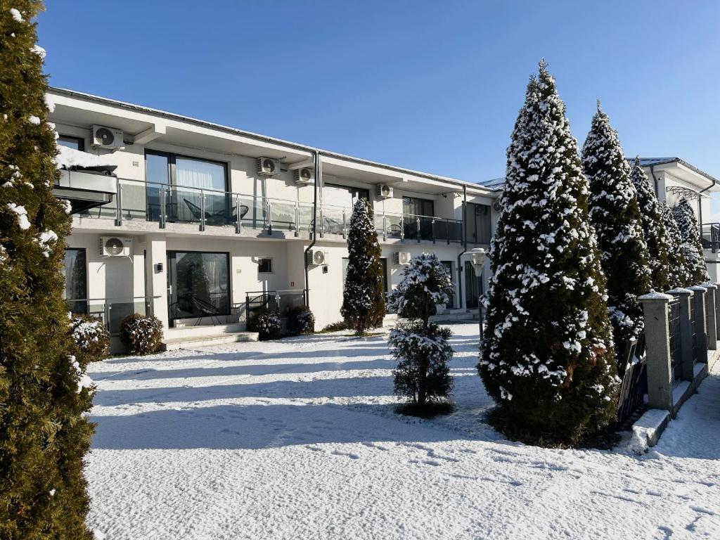 Pensiunea White Department - Housity