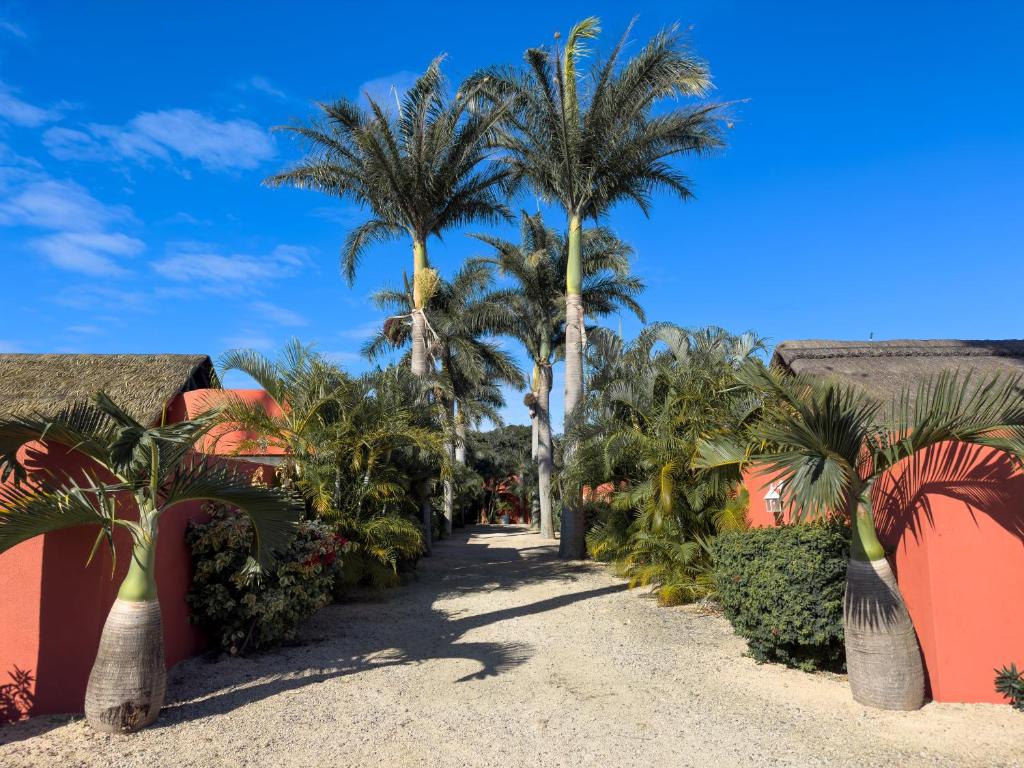 un camino con palmeras en un complejo en Residence Laurada - Tropical 2 Bedrooms Villa with Private Pool, en Pointe aux Piments